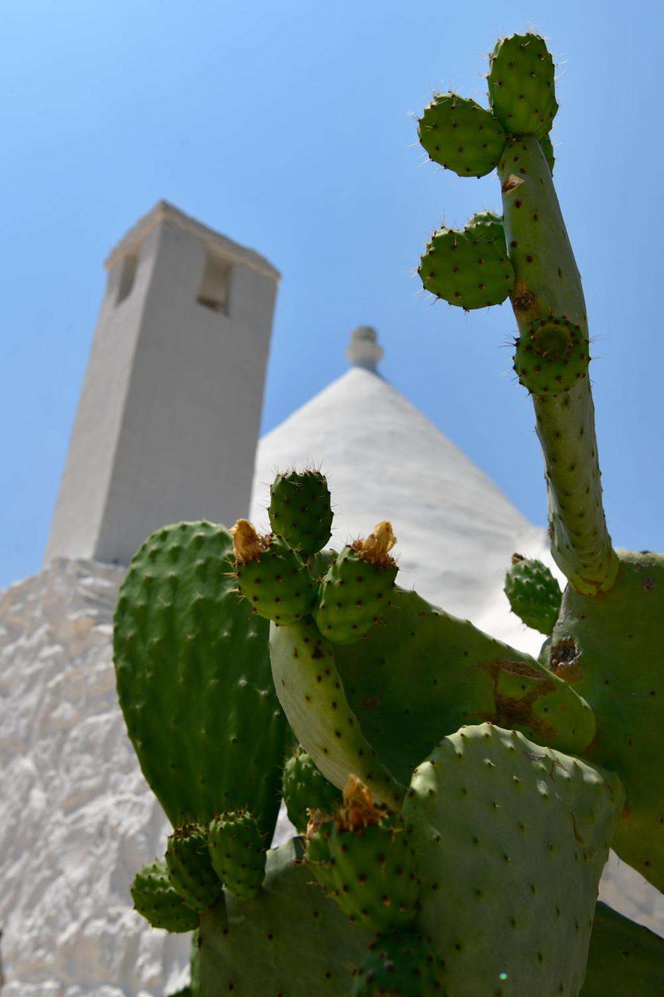 Il Trullo Bianco - Country House & Spa Castellana Grotte Bagian luar foto